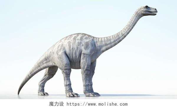 白色背景上站立的的恐龙动物灭绝生物